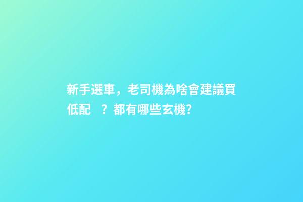 新手選車，老司機為啥會建議買低配？都有哪些玄機？